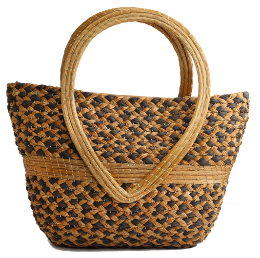 LASMIN - SAC